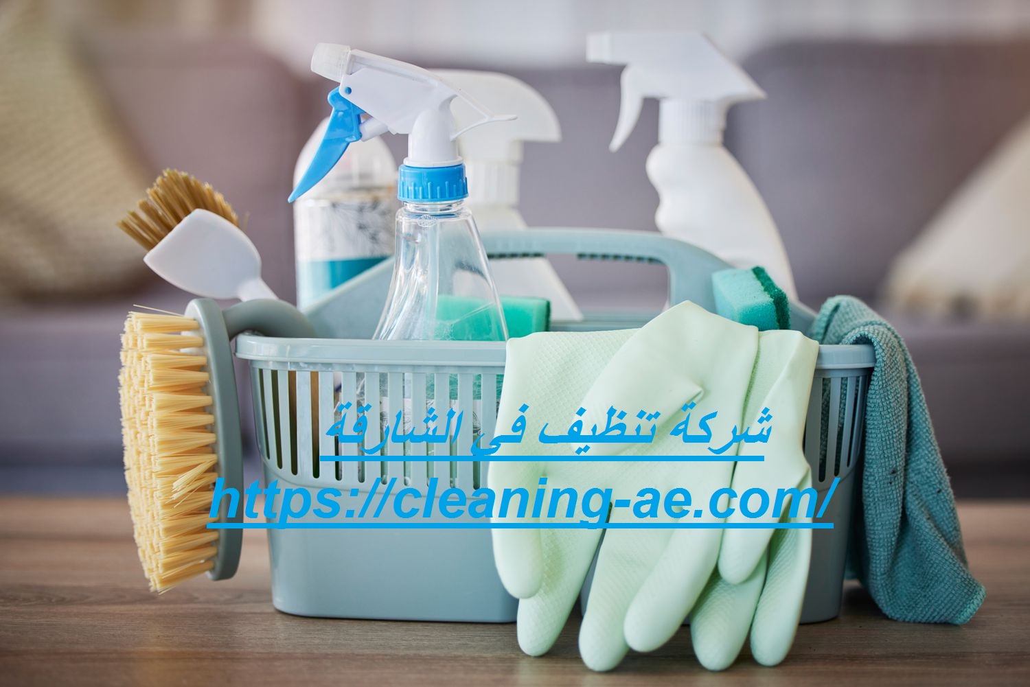 شركة تنظيف في الشارقة