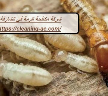 شركة مكافحة الرمة في الشارقة