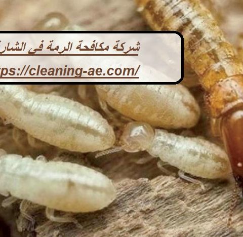 شركة مكافحة الرمة في الشارقة