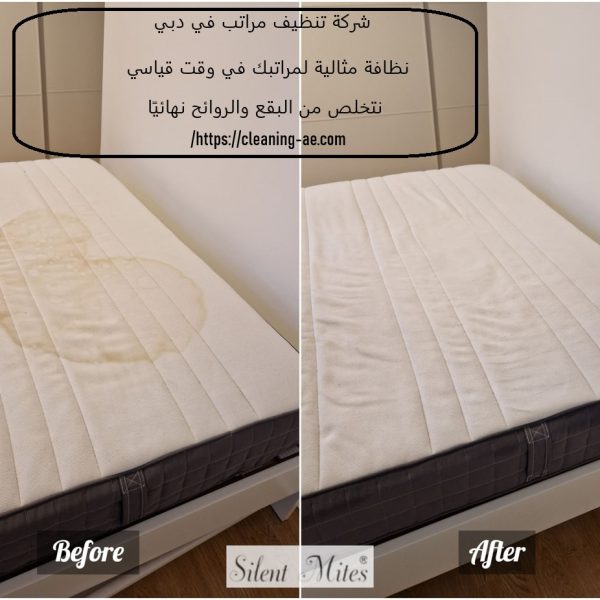 شركة تنظيف مراتب في دبي