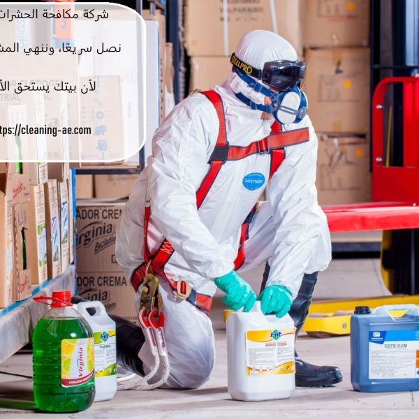 شركة مكافحة الحشرات أبوظبي