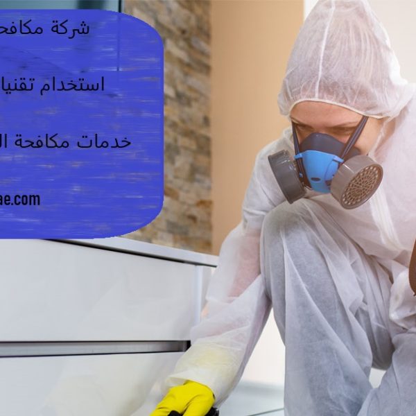 شركة مكافحة الحشرات أم القيوين
