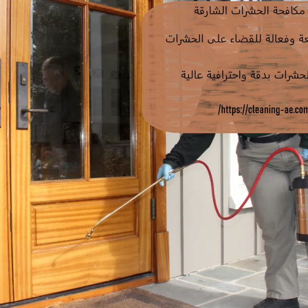 شركة مكافحة الحشرات الشارقة