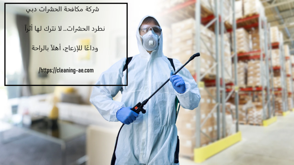 شركة مكافحة الحشرات دبي