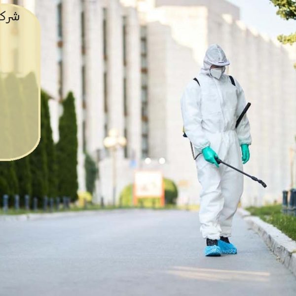 شركة مكافحة الحشرات رأس الخيمة