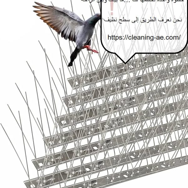 شركة مكافحة حمام في ابوظبي