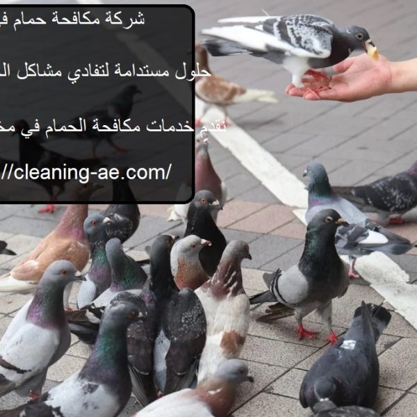 شركة مكافحة حمام في العين