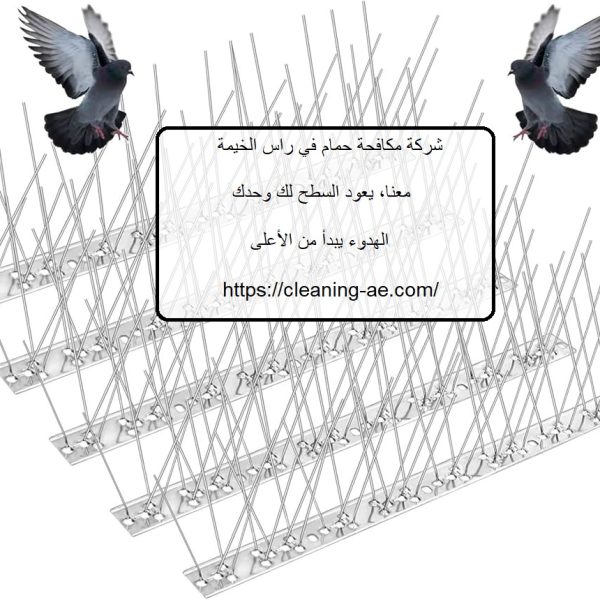 شركة مكافحة حمام في راس الخيمة