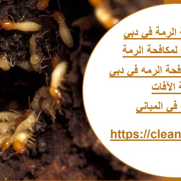 شركة مكافحة الرمة في دبي