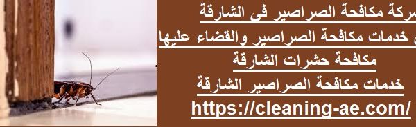 شركة مكافحة الصراصير في الشارقة