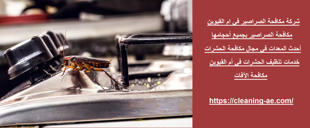 شركة مكافحة الصراصير في ام القيوين