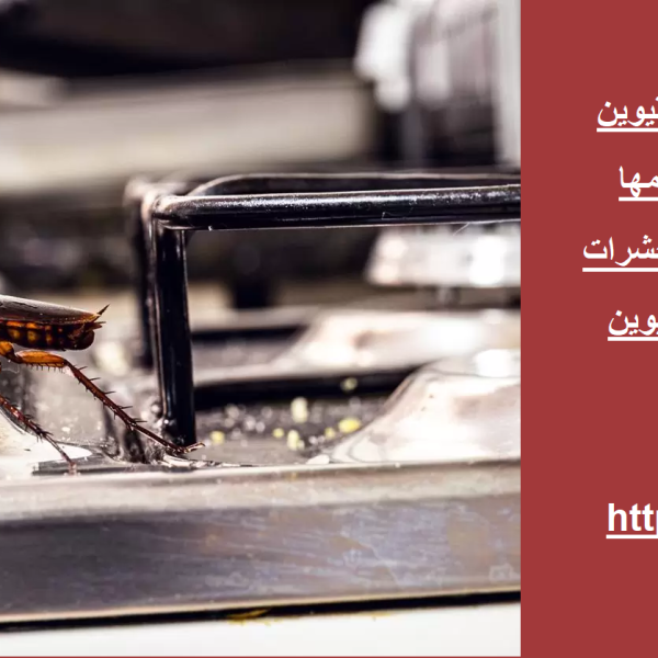 شركة مكافحة الصراصير في ام القيوين