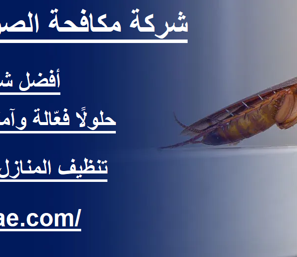 شركة مكافحة الصراصير في راس الخيمة